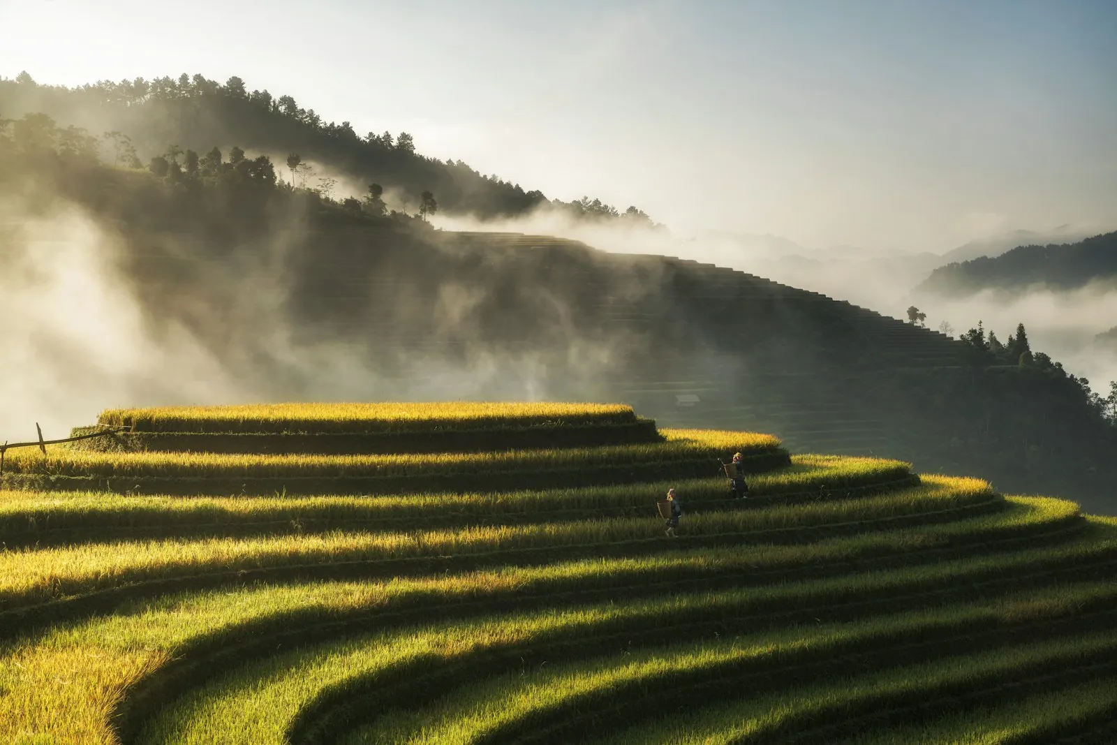 The landscape is someone’s working day